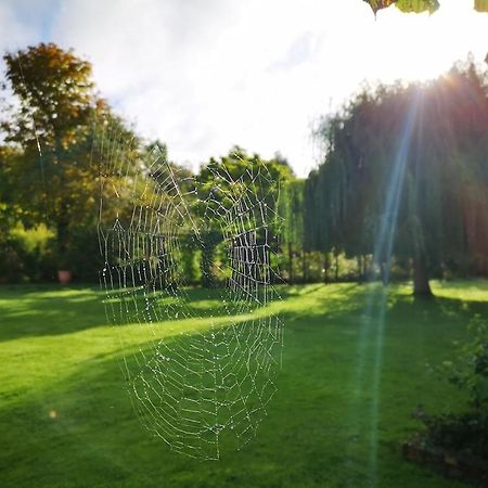 Gite Du Chateau D'Hardelot A Condette Exteriör bild