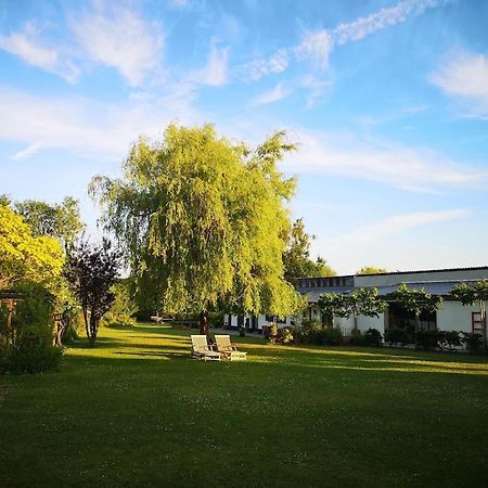 Gite Du Chateau D'Hardelot A Condette Exteriör bild
